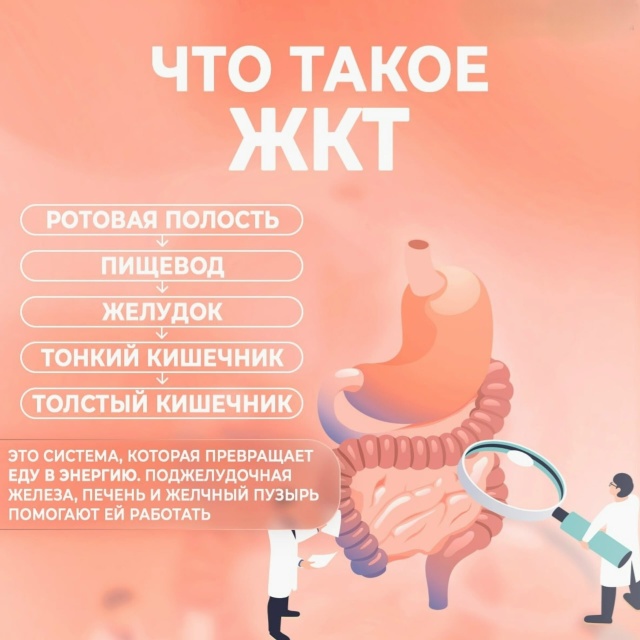 Неделя профилактики заболеваний ЖКТ (24–30 ноября 2025)