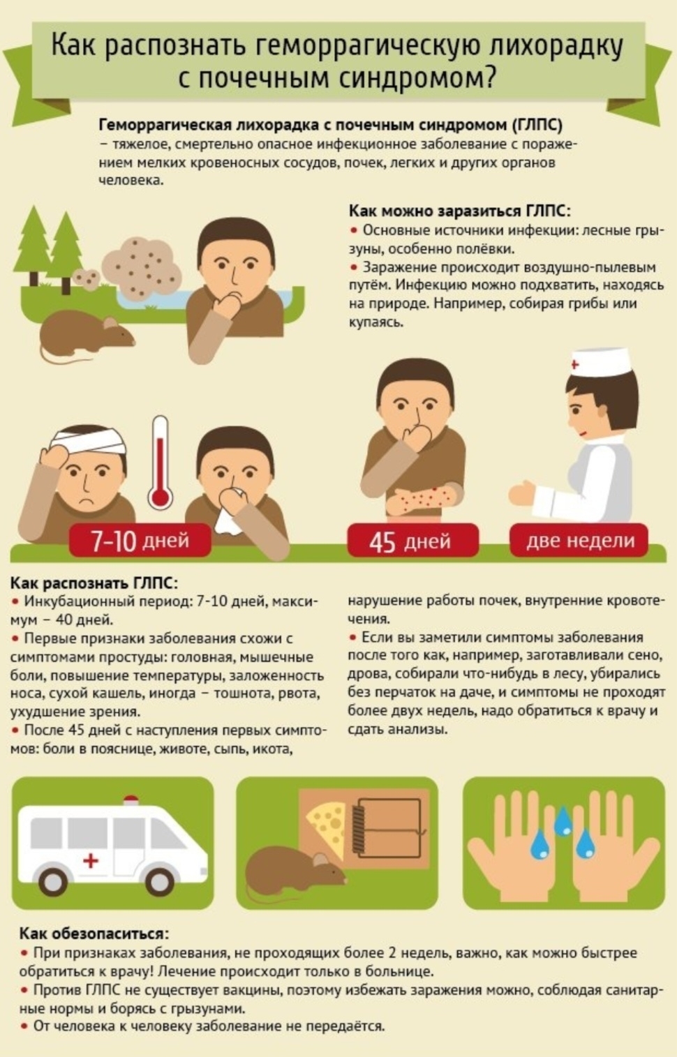 Август — не финал, а пик опасности: почему сейчас нужно бояться ГЛПС больше, чем весной.