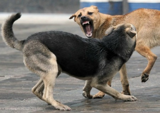 Памятка для родителей и законных представителей