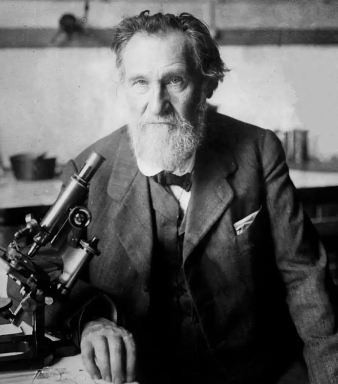 Международный День иммунологии