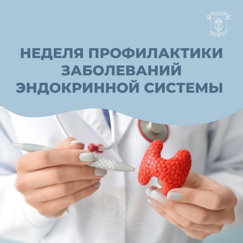 Щитовидная железа — это королева среди эндокринных желез