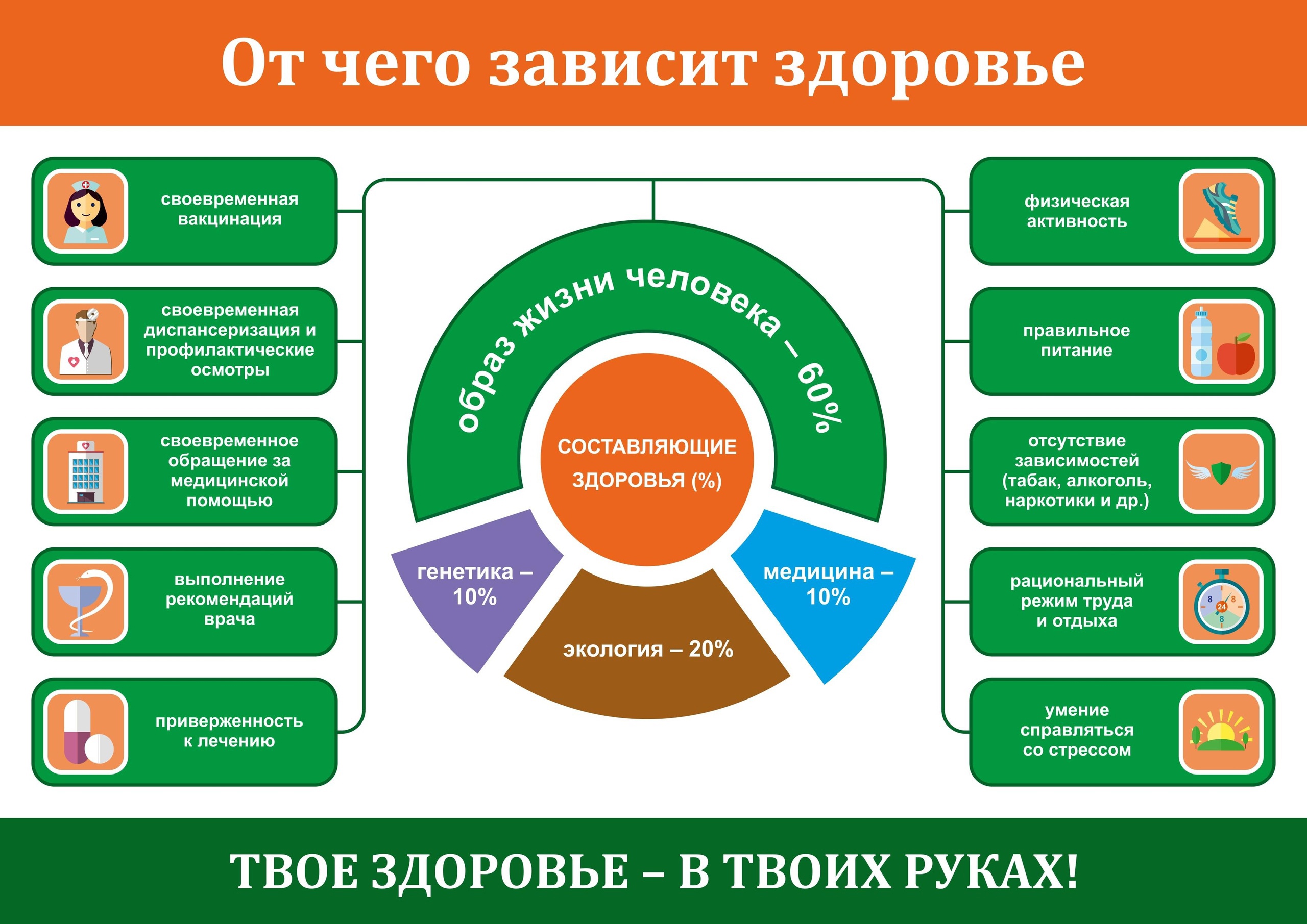 Здоровье – это не просто отсутствие болезней, а состояние гармонии души и тела. От чего же оно зависит? 