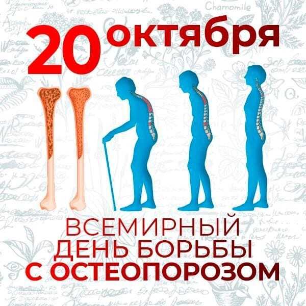 Остеопороз – «молчаливая эпидемия» Остеопороз – «молчаливая эпидемия»