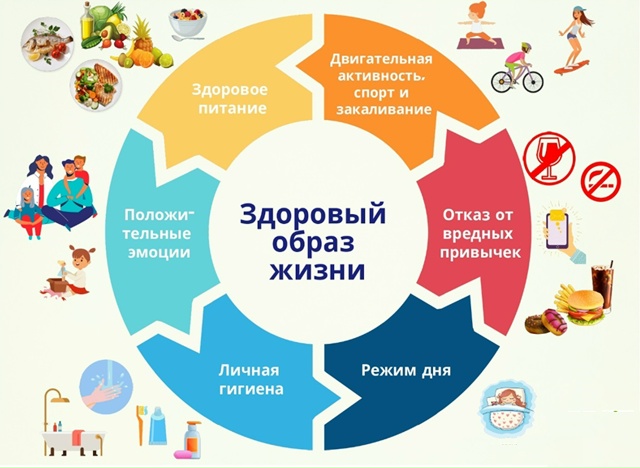 Почему здоровый образ жизни важен каждому?