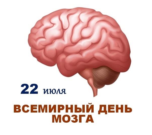 Всемирный день мозга отмечается ежегодно 22 июля.