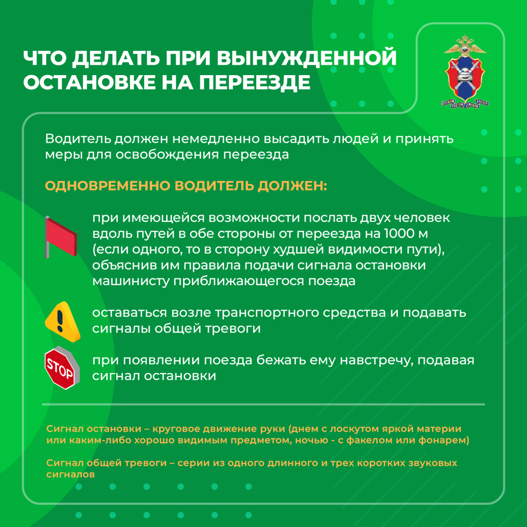 6 (15).jpg