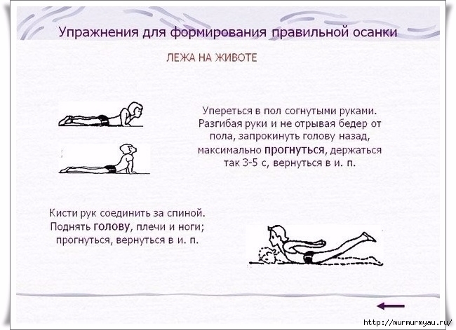 упражнения лежа на спине.jpg