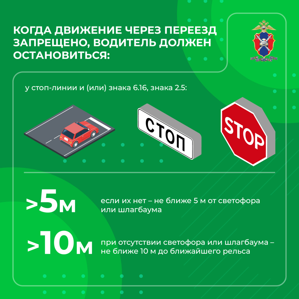 5 (14).jpg